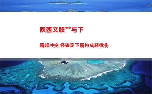 陕西文联书记与下属起冲突 经鉴定下属构成轻微伤(陕西文联书记打人处理结果)