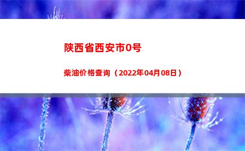 陕西省西安市0号柴油价格查询（2022年04月08日）