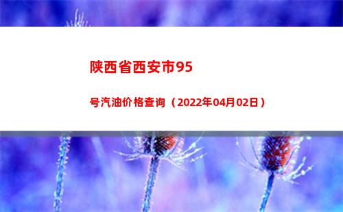 陕西省西安市95号汽油价格查询（2022年04月02日）