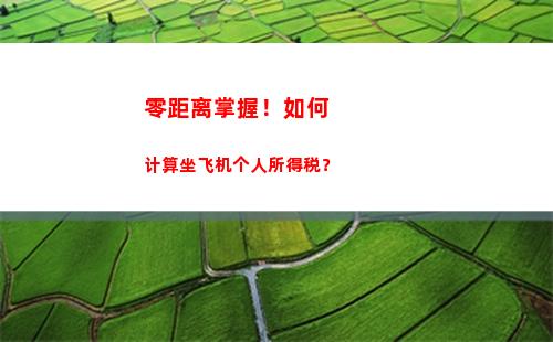法人所得税和个人所得税(综合所得税个人所得税计算)