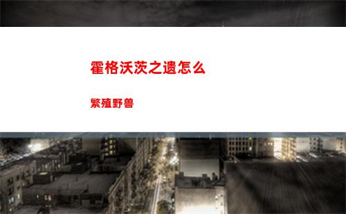 金铲铲之战无敌风火轮怎么玩