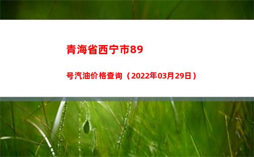青海省西宁市89号汽油价格查询（2022年03月29日）