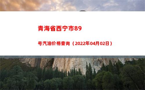 青海省西宁市89号汽油价格查询（2022年04月02日）