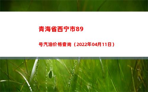 青海省西宁市89号汽油价格查询（2022年04月11日）