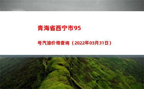 青海省西宁市95号汽油价格查询（2022年03月31日）