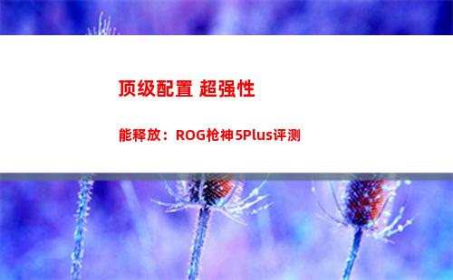 顶级配置+超强性能释放：ROG枪神5Plus评测