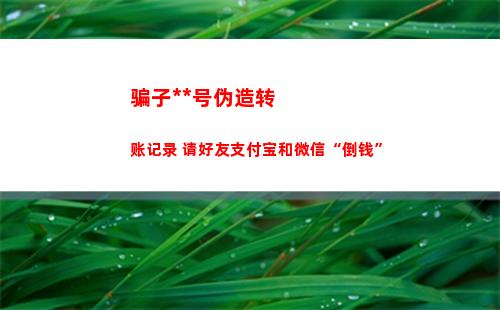 骗子盗取QQ号伪造转账记录 请好友支付宝和微信“倒钱”
