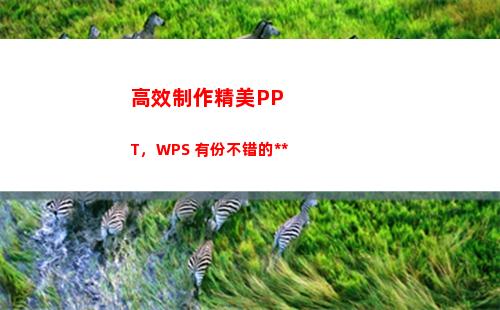 高效制作精美PPT，WPS 有份不错的答案(如何制作精美的纪念册)