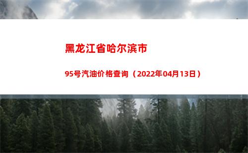 黑龙江省哈尔滨市95号汽油价格查询（2022年04月13日）