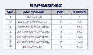 个人所得税税(个人所得税税单怎么查询)