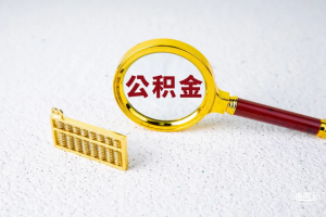 公积金广州贷款额度计算器(广州公积金贷款额度公式计算)