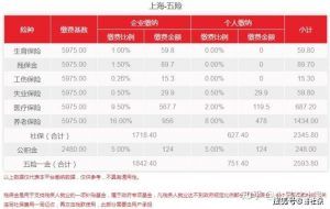 上海社保公积金计算(上海社保公积金计算器)