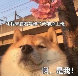 购房贷款计算器首付(房屋贷款首付计算器)