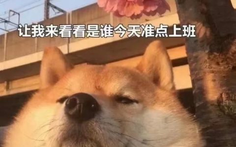 购房贷款计算器首付(房屋贷款首付计算器)