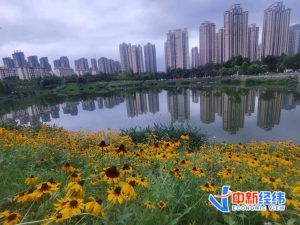 公积金贷款额度计算器(房贷计算器)