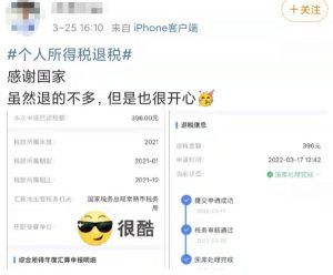 个人所得税app下载(个人所得税app下载国家税务总局)