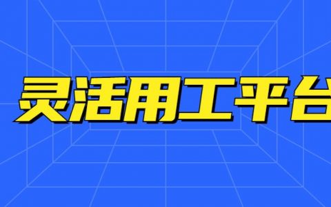 员工个人所得税(员工个人所得税公司承担怎么做分录)