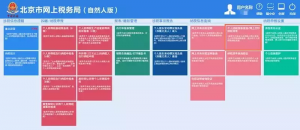 个人所得税查询(个人所得税查询五险一金缴费明细)