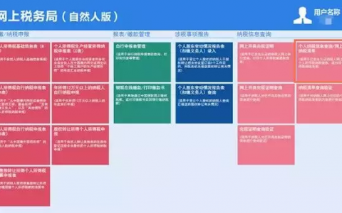 个人所得税查询(个人所得税查询五险一金缴费明细)