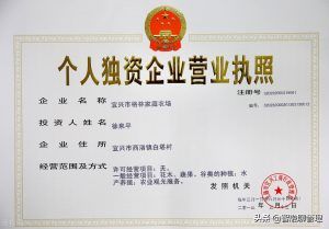 降税个人所得税(个人所得税减税降费政策有哪些)