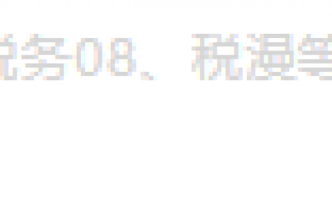 个人所得税 新