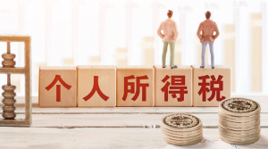 个人所得税零申报(北京车辆摇号个人所得税零申报)