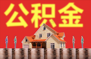 社保公积金计算(社保公积金计算器)插图 社保公积金计算(社保公积金计算器)
