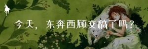 当当优惠码(当当优惠码618)