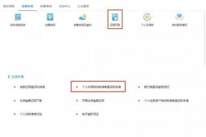 怎么查询个人所得税(怎么查询个人所得税申报成功)