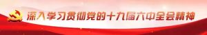 个人所得税 奖金