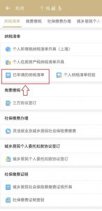 个人所得税如何申报(税务系统个人所得税如何申报)