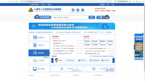 查个人所得税(查个人所得税电话是多少)