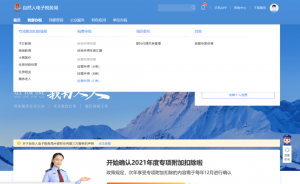 申报个人所得税(申报个人所得税时间)