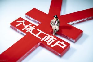 个人所得税网上申报(个人所得税网上申报流程图)