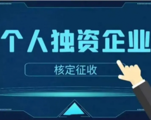 独资企业个人所得税(独资企业个人所得税申报)