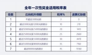 个人所得税税(个人所得税税单怎么查询)