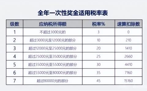 个人所得税税(个人所得税税单怎么查询)