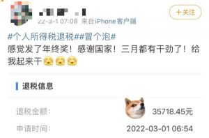 个人所得税app下载(个人所得税app下载国家税务总局)