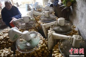 个税计算规则(个税计算)