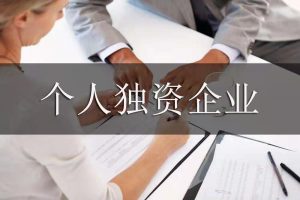 独资企业个人所得税(独资企业个人所得税申报)