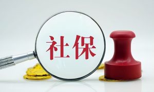 个人所得税社保(个人所得税申报对个人有什么影响)插图2 个人所得税社保(个人所得税申报对个人有什么影响)