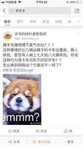 拼多多优惠兑换码(拼多多优惠码怎么用)插图3 拼多多优惠兑换码(拼多多优惠码怎么用)