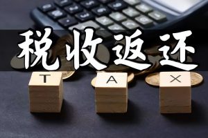 个人所得税返税(个人所得税返税给个人)插图1 个人所得税返税(个人所得税返税给个人)