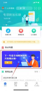 申报个人所得税(申报个人所得税什么意思)
