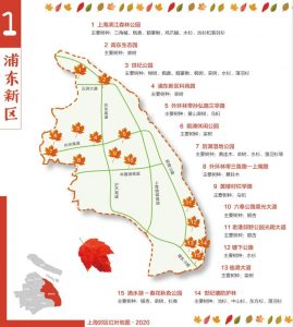 上海 个税计算器