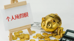 金税个人所得税(金税个人所得税申报完已经缴费还可以退回吗)