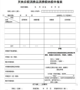 个人所得税表格(2022个人所得税表格)