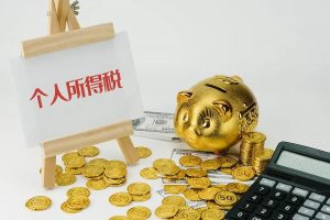 个人所得税税(个人所得税税单怎么查询)
