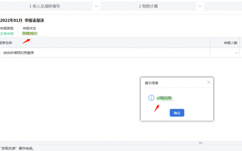 个人所得税怎么申报(个人所得税怎么申报租房)