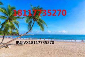 个人所得税证明(北京个人所得税证明)